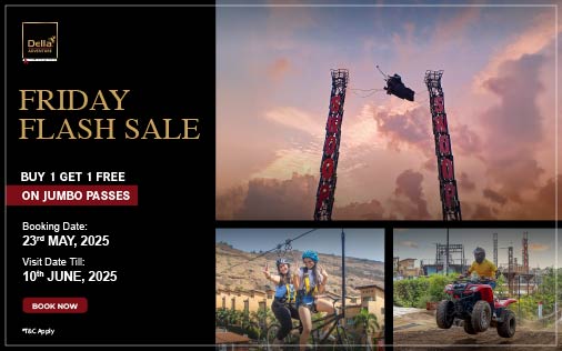 FRIDAY FLASH SALE - 23 May 2025